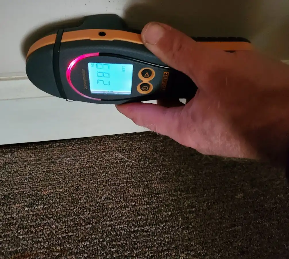 Moisture detection at baseboard during Sewage Cleanup & Sanitation in Rochester
